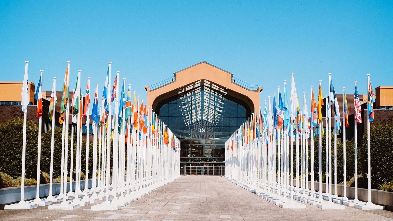 Social Impact in Olympic Village Development